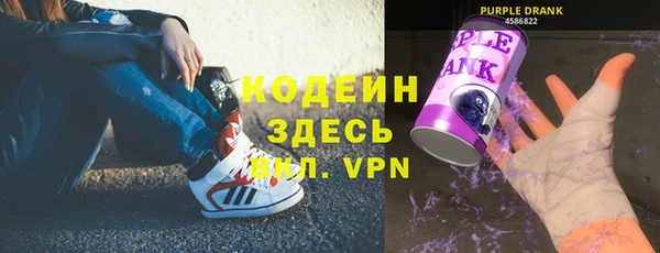 шишки Вяземский