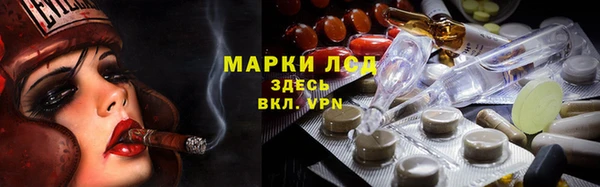 шишки Вяземский