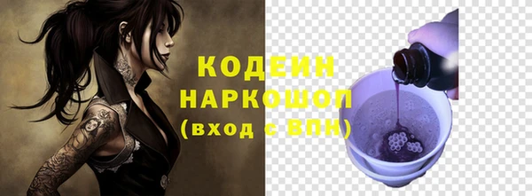 шишки Вяземский