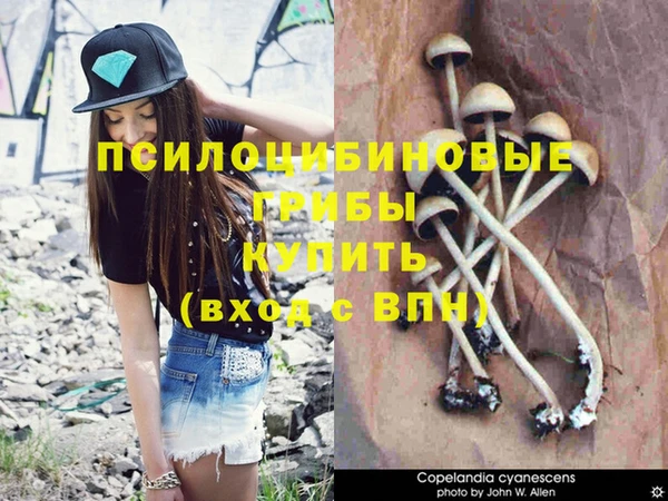 jwh Вязьма