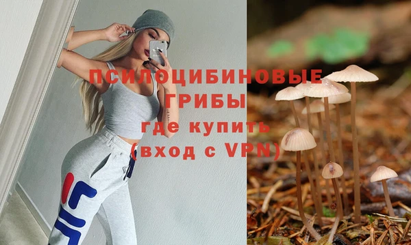 шишки Вяземский