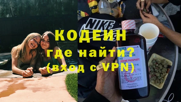 шишки Вяземский