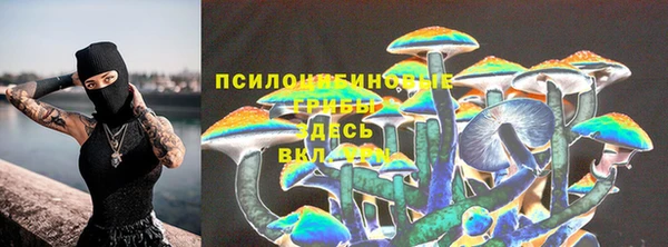 jwh Вязьма