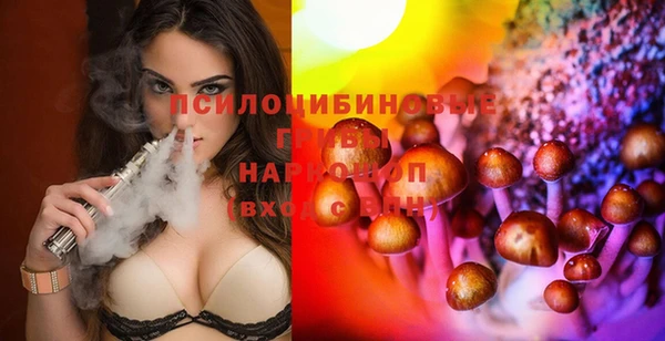 шишки Вяземский